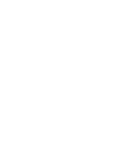 icon-logo